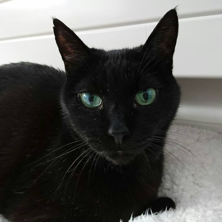 15e2fda0 e5e3 4e84 8908 cfb393820168