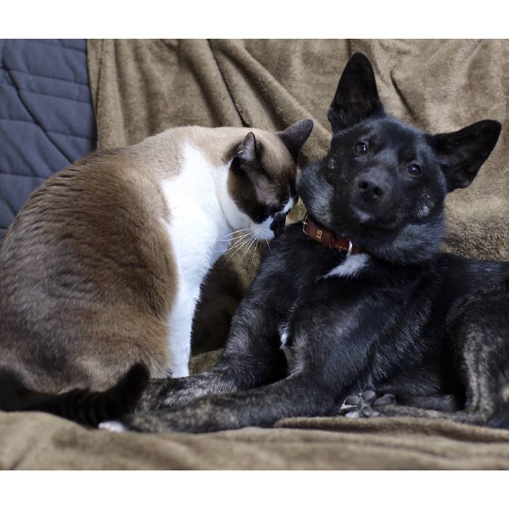 15e360ac b641 4d7a a69a 0d59919361b1