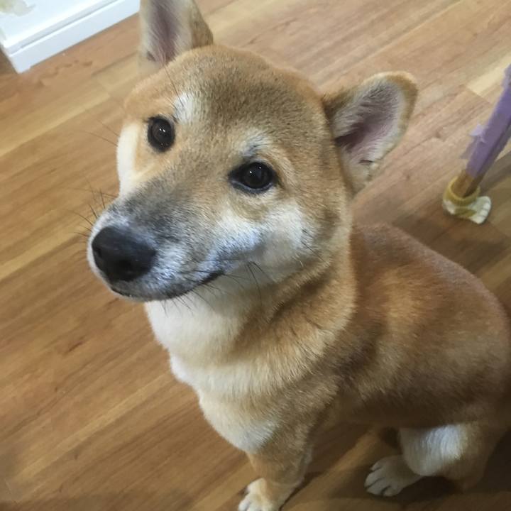 15e36c3c b3bc 449f 82f8 6ecc118f369d