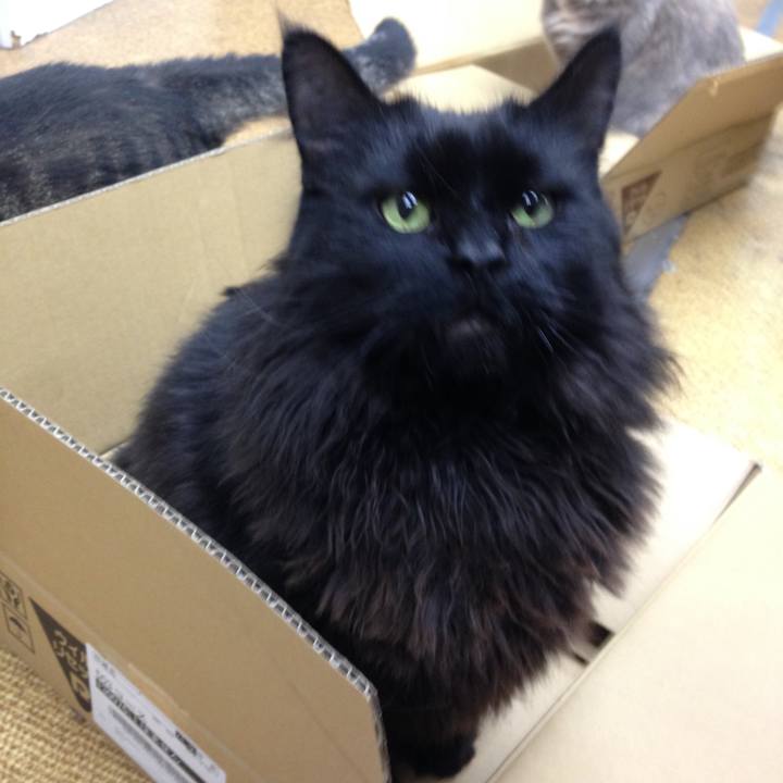 15e39583 18f8 43d0 85a1 4998b093f303