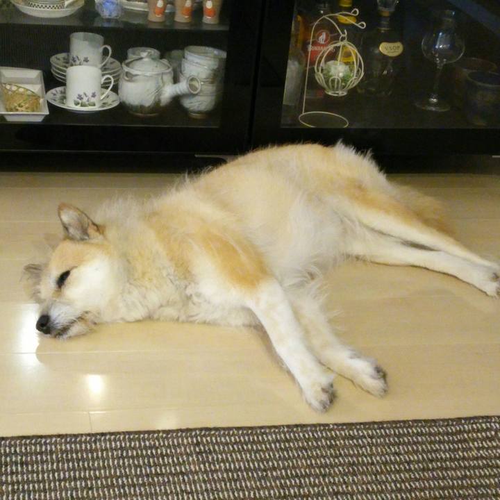 15e39c46 07e5 48ae a512 142646b12b0b