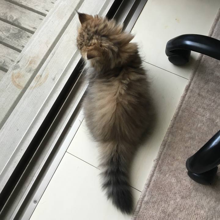 15e3b5a2 173a 4703 beae b324b81c9113