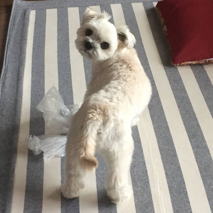 15e41307 69c0 4a8a bdb2 82b7aced7e10