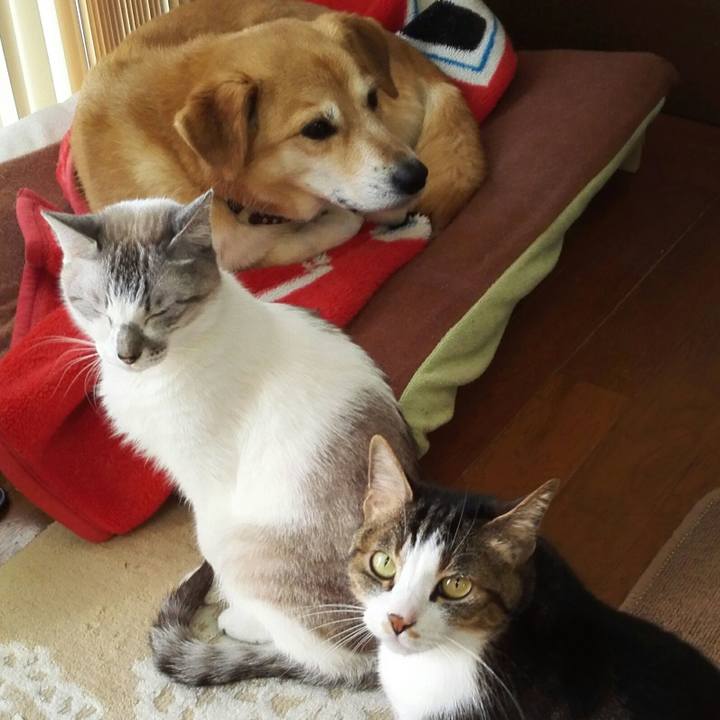 15e54838 8cef 489e b142 ab2e10eeb54c