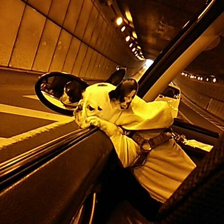 15e570e9 3549 4c9f b6d6 e6b155f472de