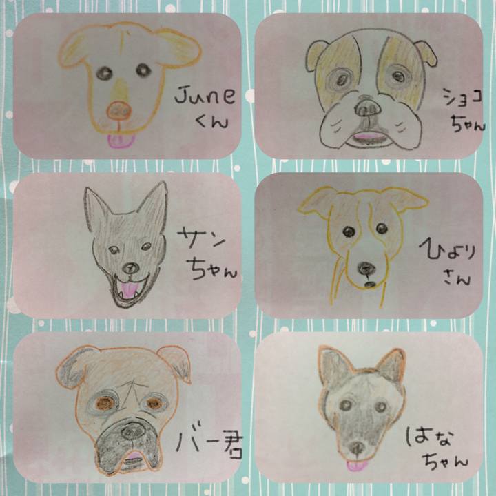 15e60654 3478 4e73 a354 0a289fc011a1