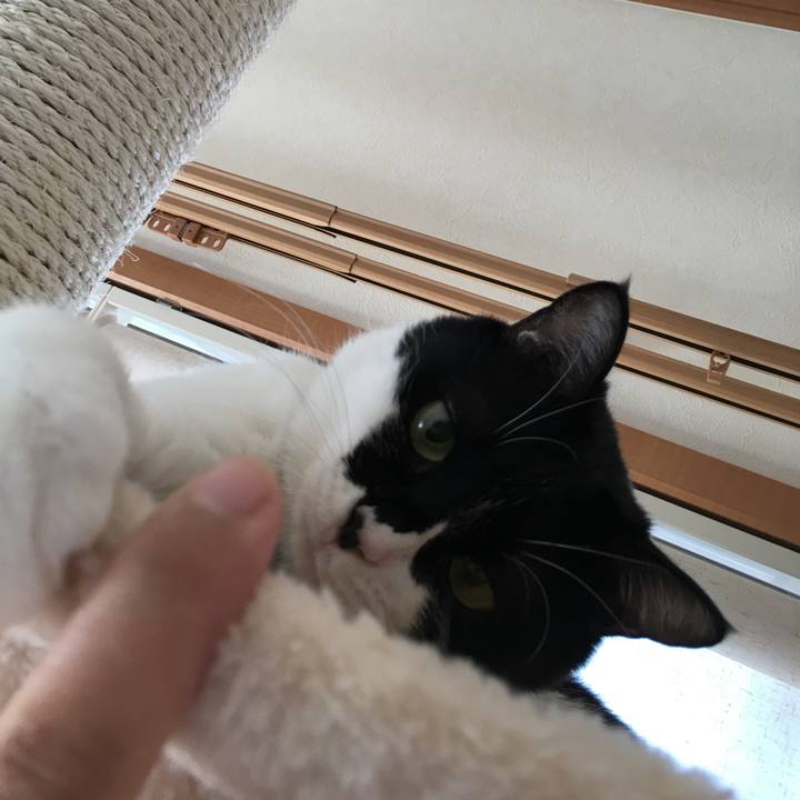 15e634b9 78ba 4b59 8027 703e42c9f55a