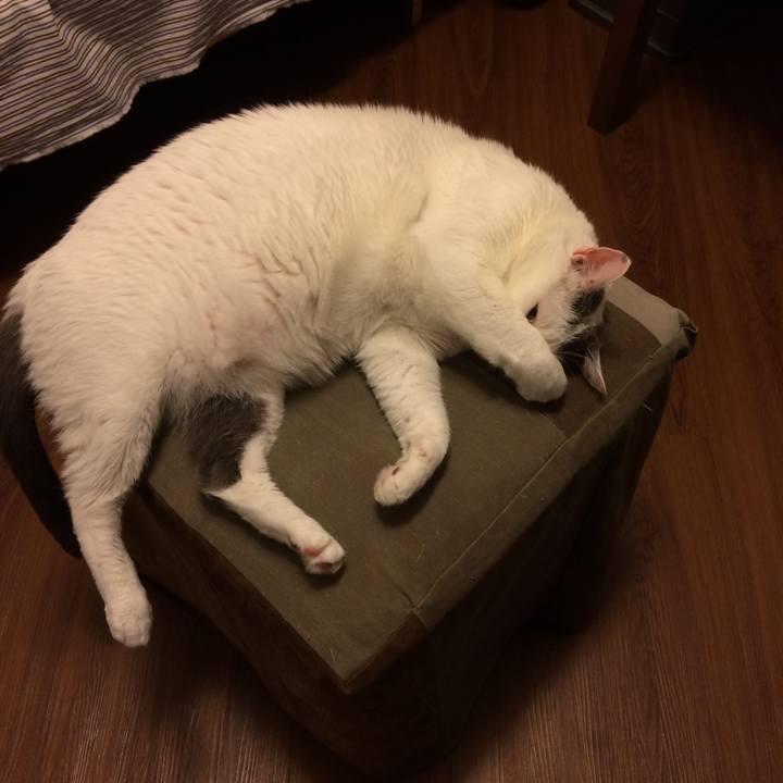 15e641a9 0bb6 460f bc64 767646237d4f