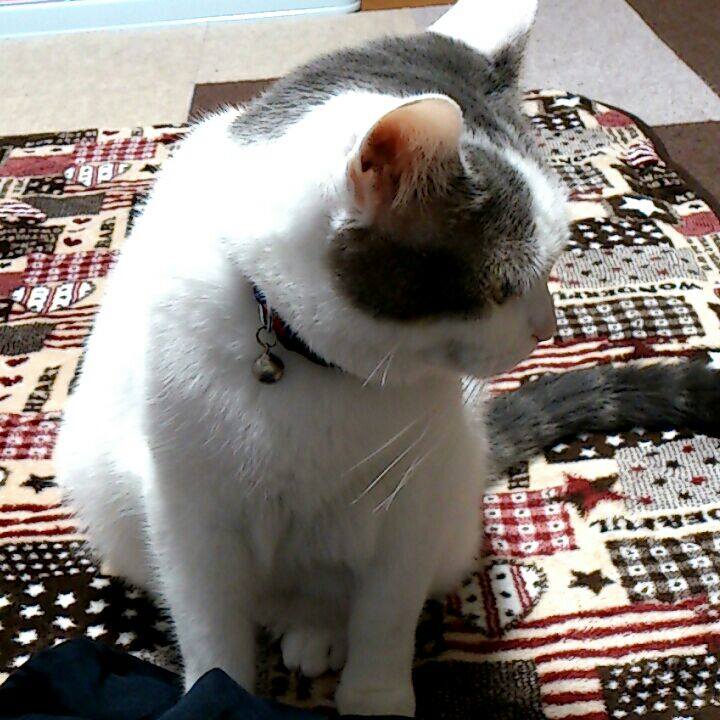 15e67567 600f 4dc6 9973 8f294e4765a9