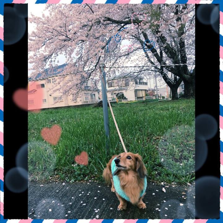 15e68628 19fa 4076 b684 79e532685503