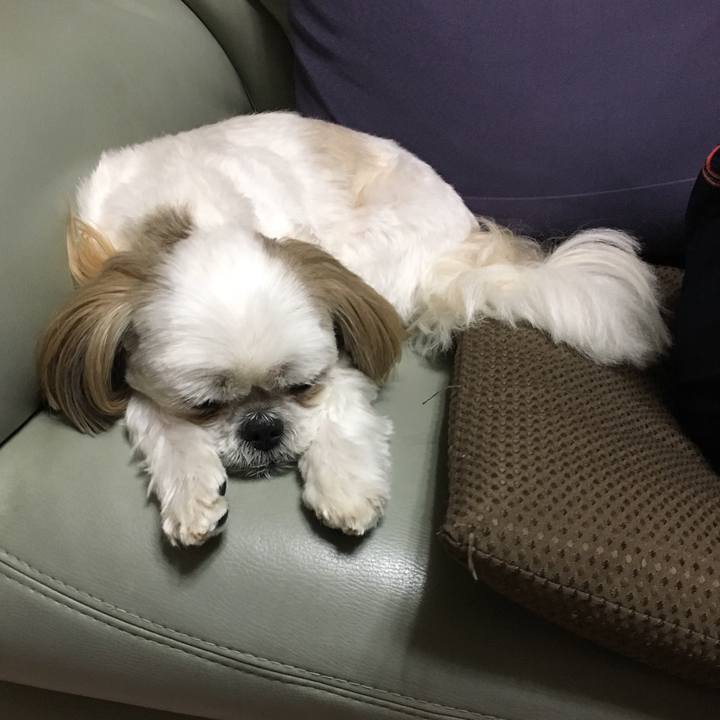 15e69718 23c2 424e 9346 920d32687905