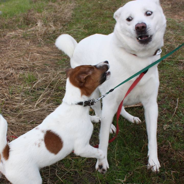 15e6d681 b224 41b9 99f7 88a675a3b501