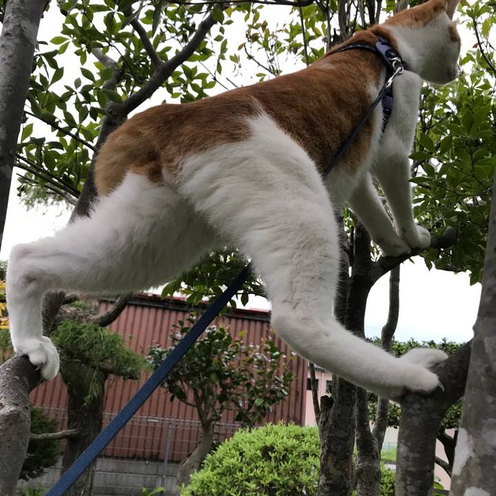 15e7ef9c dcd8 445e 9e1d 4760fc4ecb50