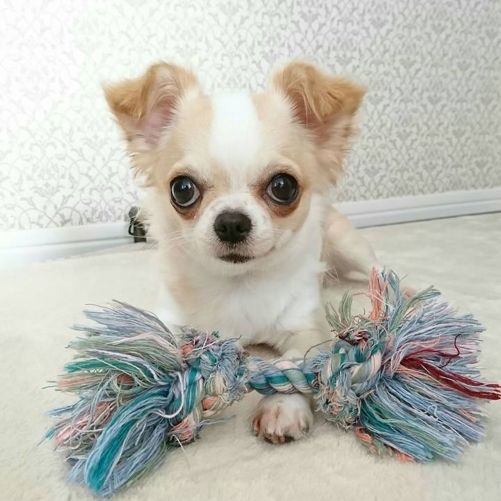 15e820e3 1582 4edd 8204 5550e0864904