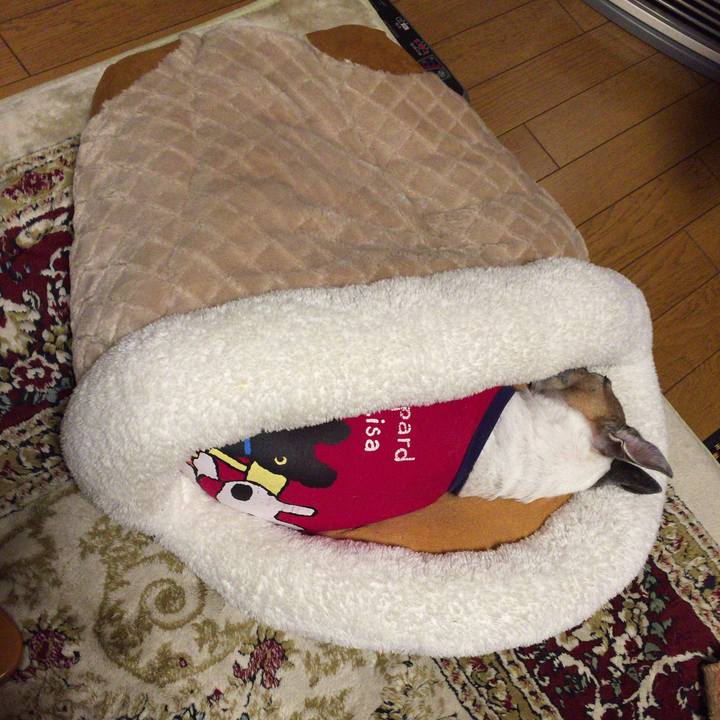 15e84328 0a1b 462f bf6f 3243349fbd79