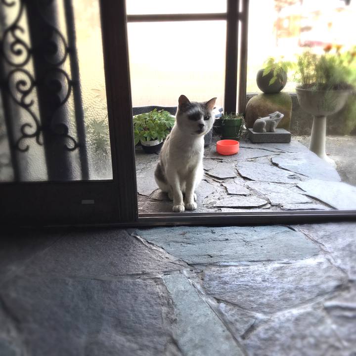 15e8505d 88d1 488c b202 93bdcc92f227