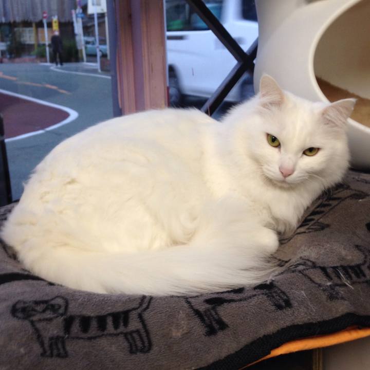 15e87e13 1c55 47b3 88d5 acc3210a65bf