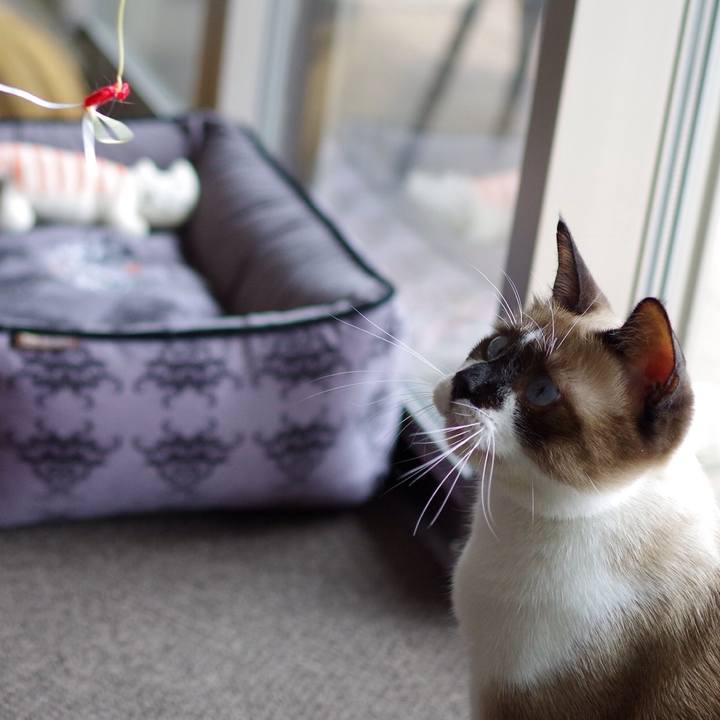 15e895a3 0deb 4f21 8f99 407f6eebba27