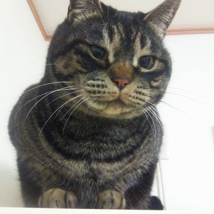 15e8c6ee 3868 4d1e a173 3f2e3ad2445a