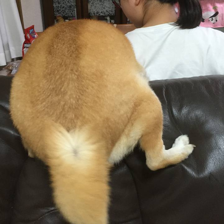 15e912cd c20d 4f67 8496 954bc36c3005