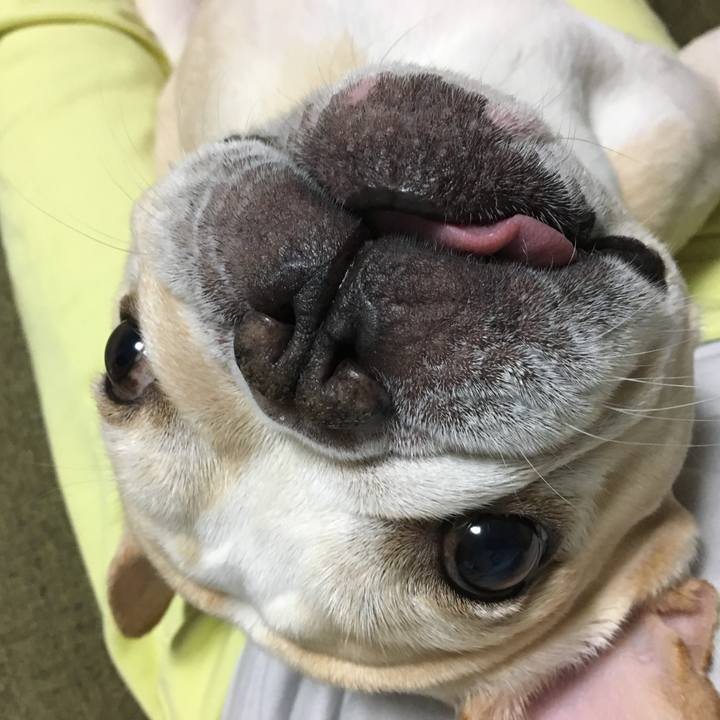 15e918b2 346f 43a0 92a7 bcc08ea18588