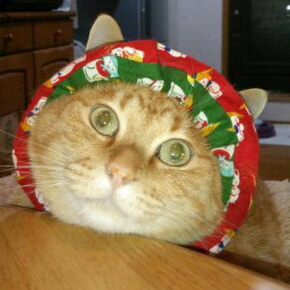 15e975fe d7f2 424e 959f 61325dde77a8