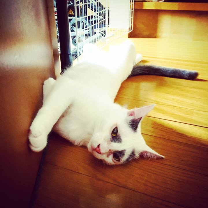 15e9ec94 1df5 4220 a480 9559791a80b1