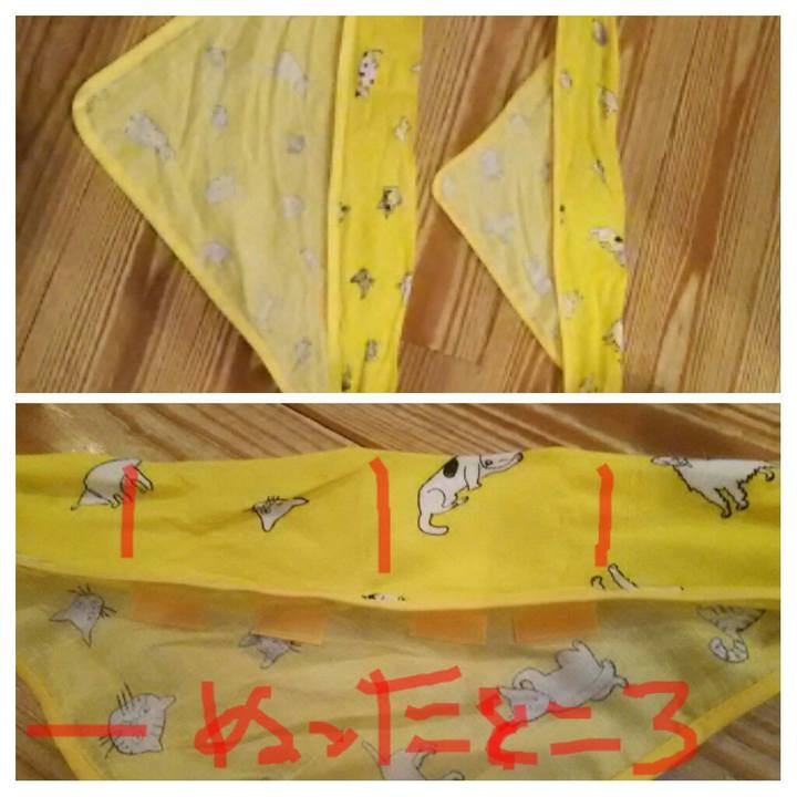 15ea5e08 672b 4455 b30d f3ceb72fd05c