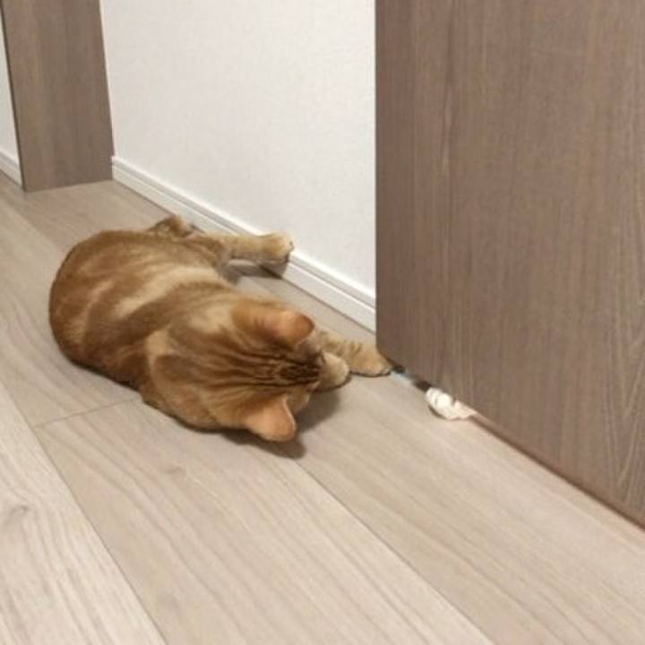 15ec6233 449f 4d7c ad61 34ffcd31fc26