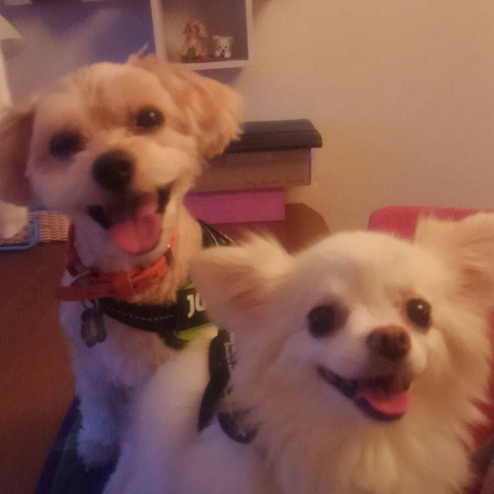 15eccec9 1166 4de0 b390 0b9682d0339a