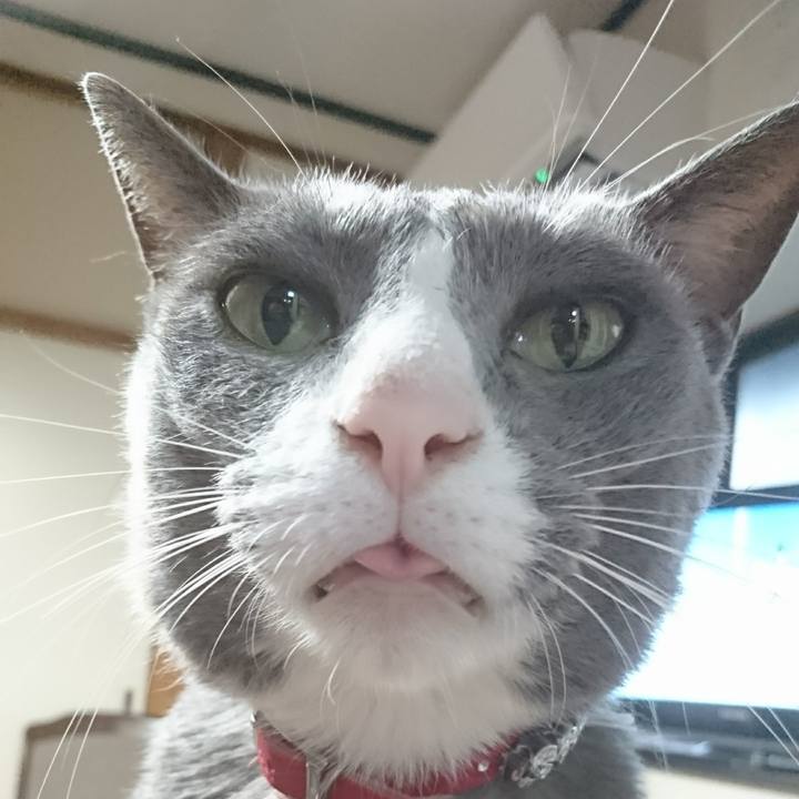 15ed16a4 fa0e 4765 a4d9 54a9cc8f85fc