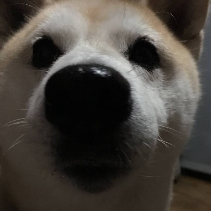 15ed1a87 491d 46b3 aedb 26772dcdfec3