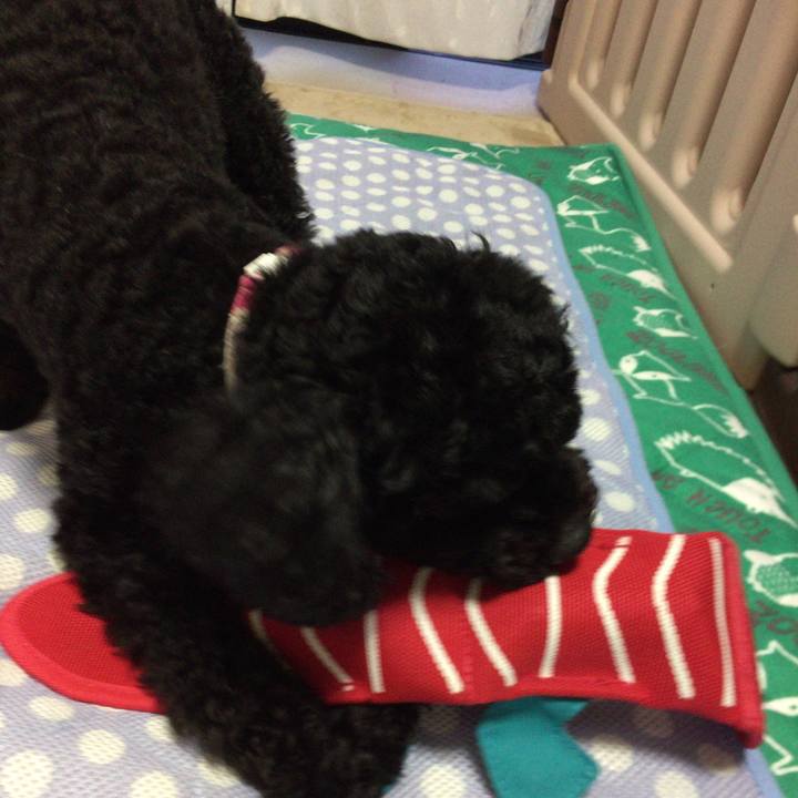 15ed8579 995b 4ba5 968f cb7b5942ccf7