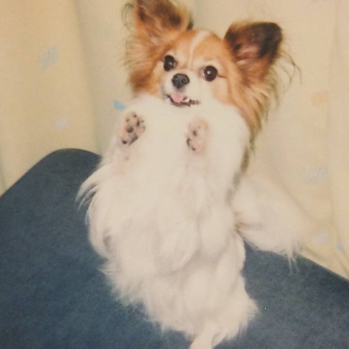 15eda24c 6c5b 4e76 a193 72a64ce7b8bc