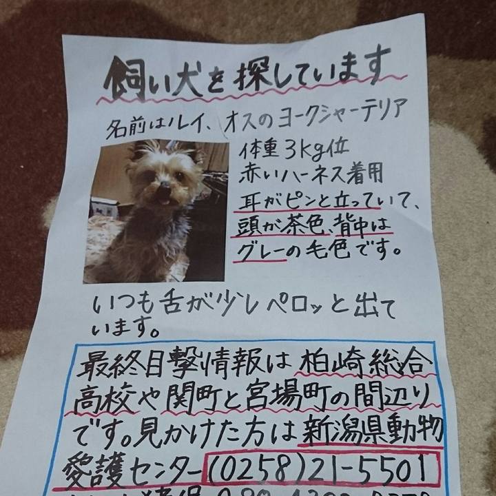 15ee1c8d f52d 40d9 b0b6 8f52d12055eb