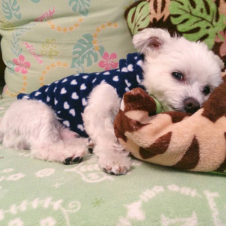 15ee298f d787 4396 87bc a820e365a3d9