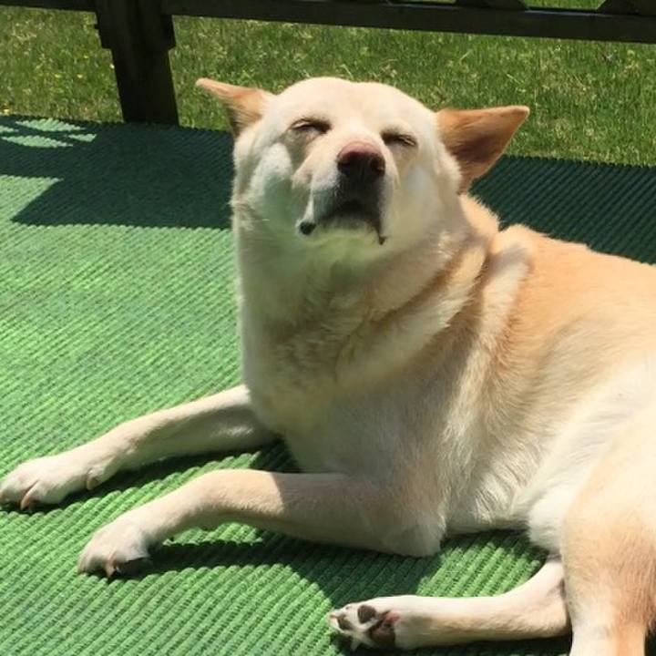 15ee3e33 bf04 41a6 acba f34fa6e2a19a