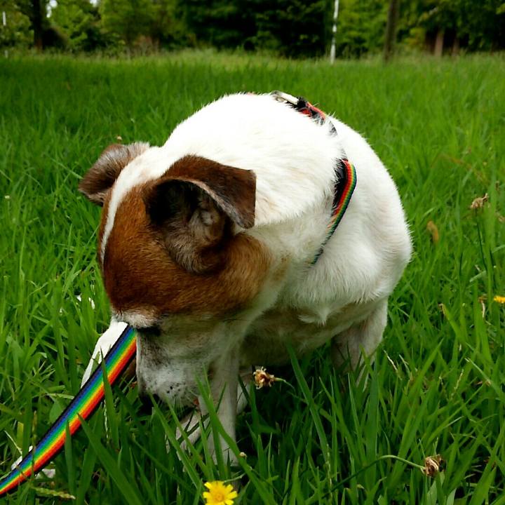 15ef3b21 ff2c 4e4d a1fb 51b2e6ed08eb