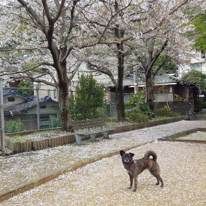 15ef44cd df68 4518 a105 f589c2066456