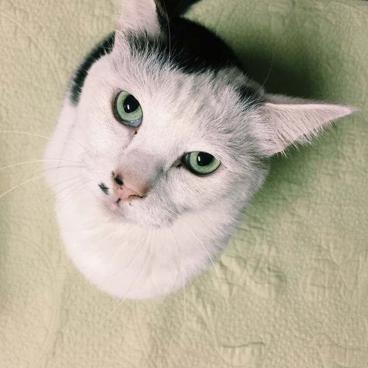 15ef478d 9768 45a7 906e 75305390ceeb