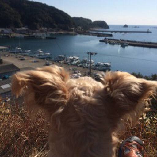 15efa3e0 1948 454b beb7 1f17430f6978