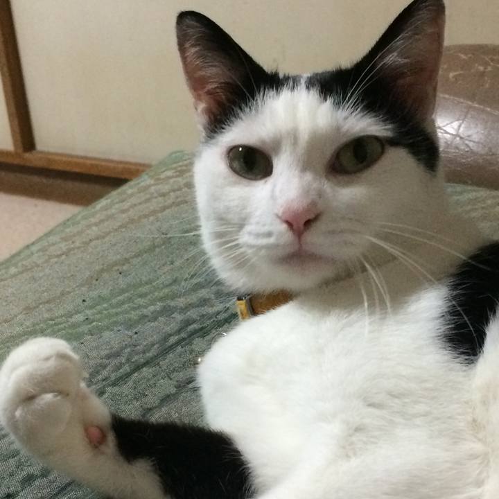 15f07f79 0eb6 4e3b afd8 62620bc6d838