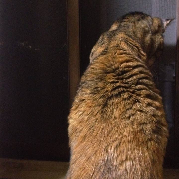 15f0c67b 81b5 4e8f a124 24a45d36bddb