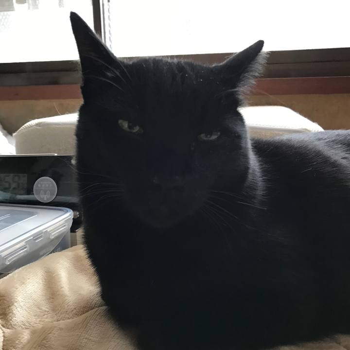 15f0c9dc 44d1 46b0 9886 96f6a8701ac3