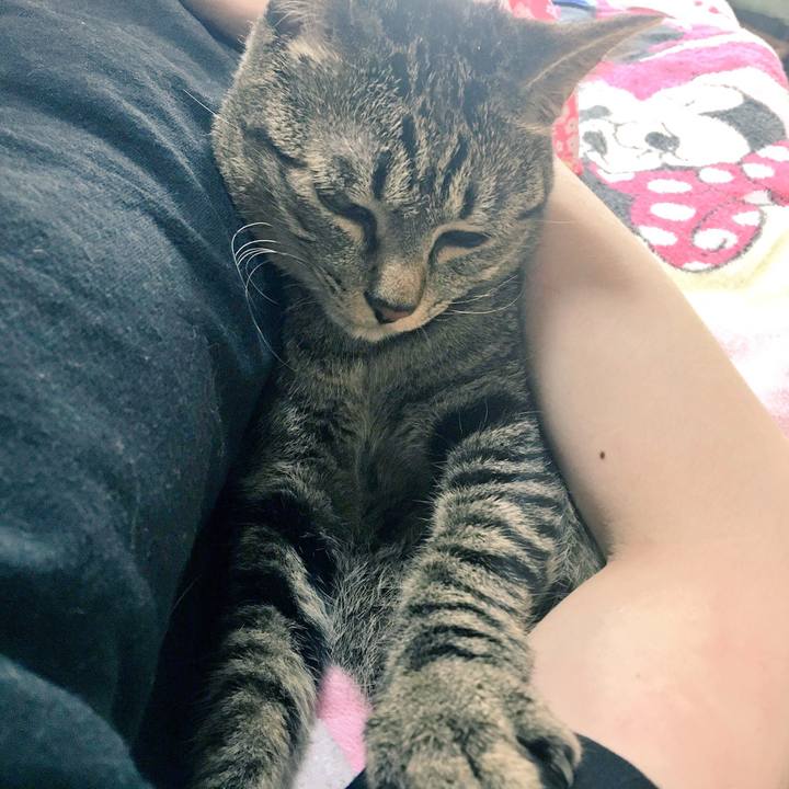 15f0d22c 509c 4028 affd 66067f73b040