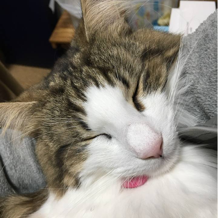 15f1042f 75ce 4a08 b7dd 644d4efa6536