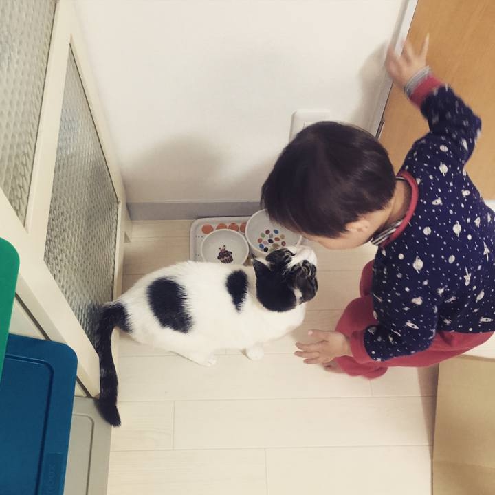 15f1f0bd 1c39 4f34 b12f 9b688839afce