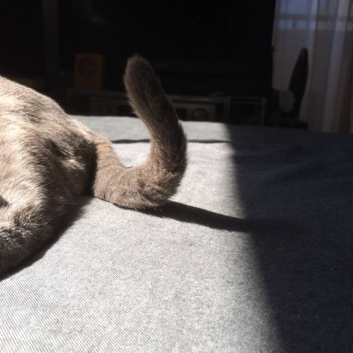 15f24c79 fa99 4632 b3c8 d5a6ae605d9c