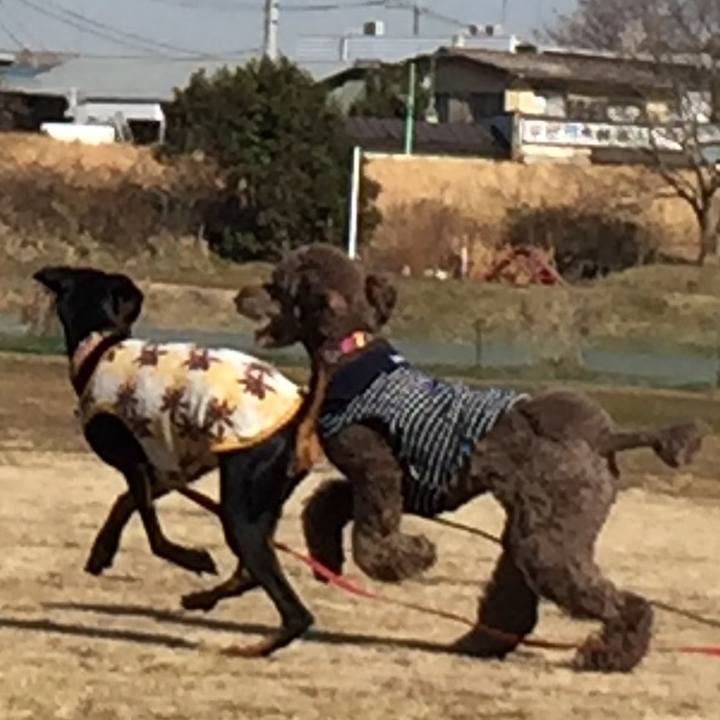 15f25068 d4b0 47fe a1d4 405a3ea57de4