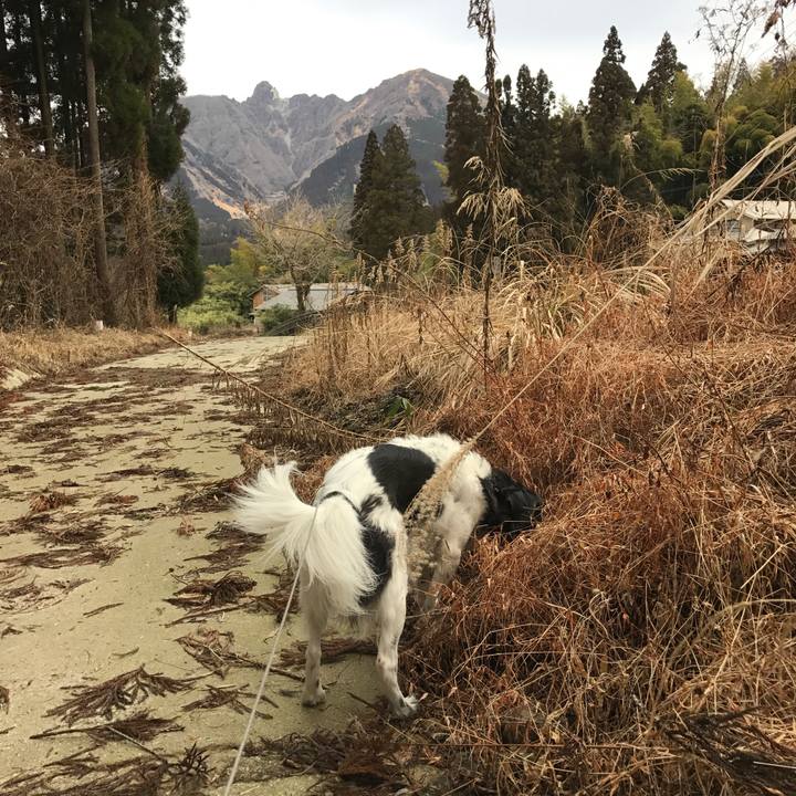 15f29a27 7f2d 4897 a24a 9b88d11cd838